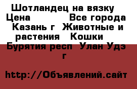 Шотландец на вязку › Цена ­ 1 000 - Все города, Казань г. Животные и растения » Кошки   . Бурятия респ.,Улан-Удэ г.